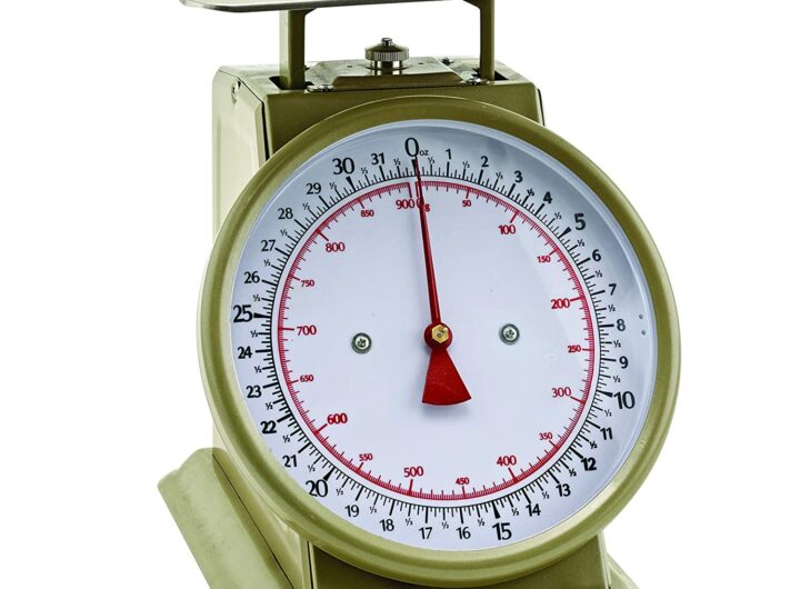 Commercial Portion Control Scales