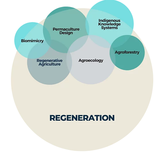 Regenerative